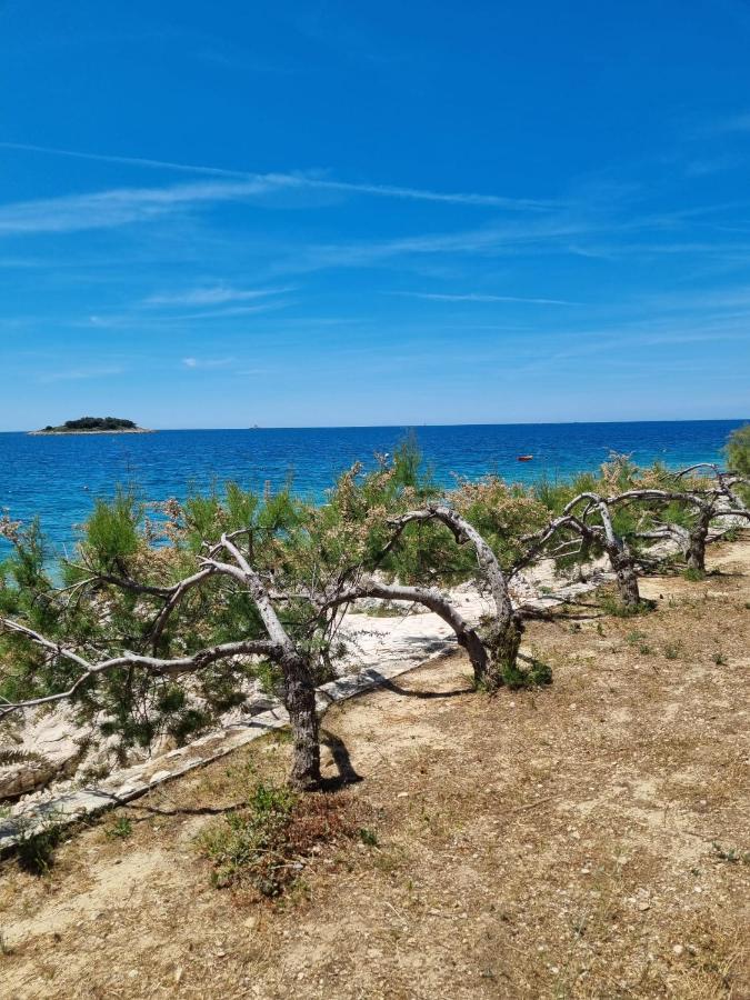 Sea View Apartment Rogoznica  Εξωτερικό φωτογραφία